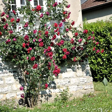 Villa Hortebise-2